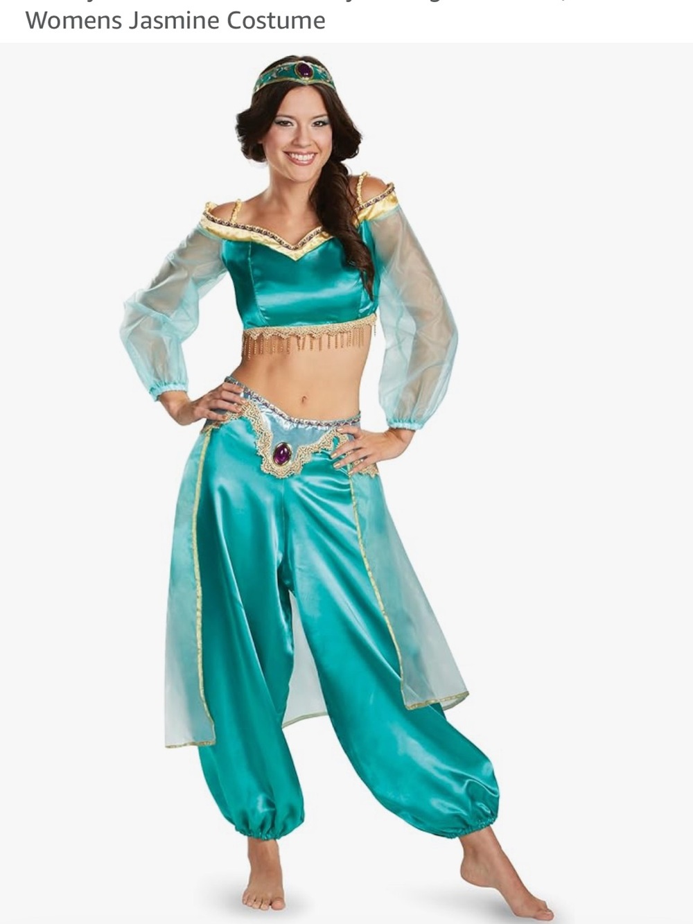 Disney Aladdin Princess Jasmine Costume size adult large